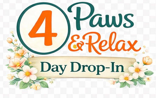 Pet Sitting Service