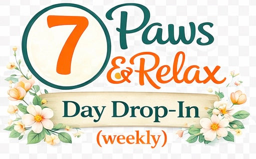 Pet Sitting Service